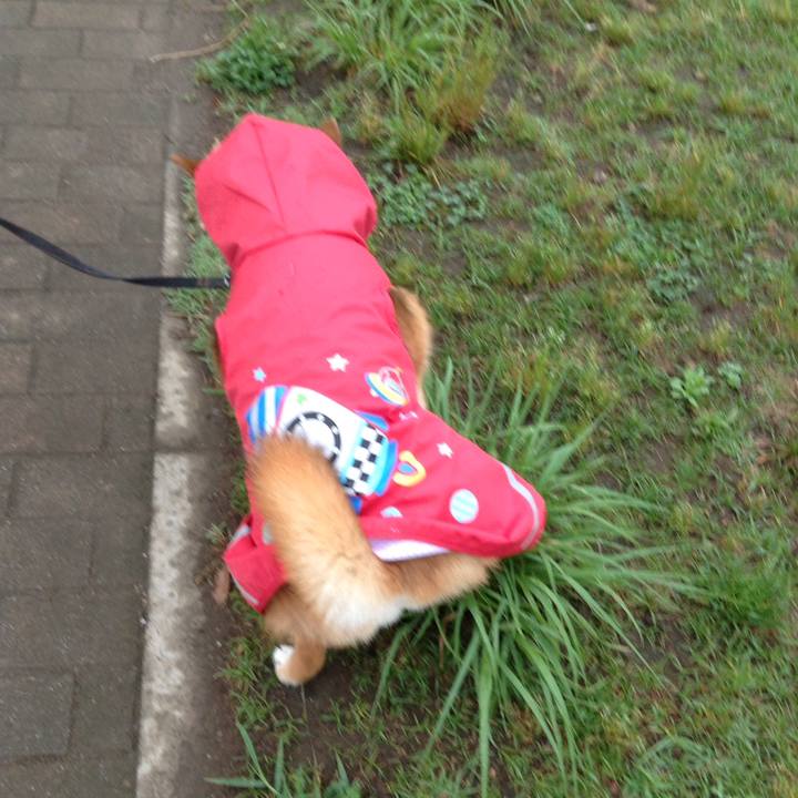 B1802071 716c 4a59 80a8 c8344f7ed502