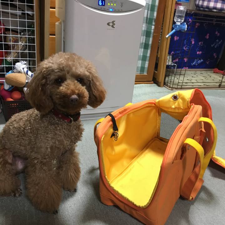 B18044ba 3017 41b0 b270 bca9cf8075c7