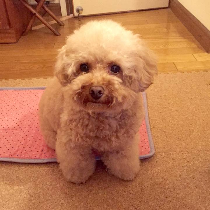 B1806835 3f5b 433e 92cd dd2213320bb1