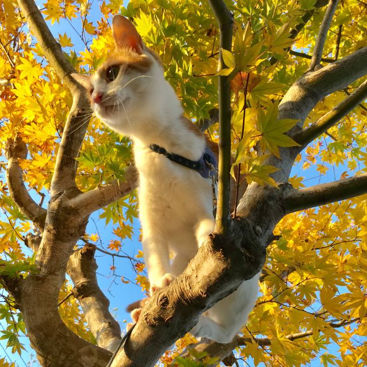 B180f9bd 16b6 48a2 a418 50465e9d329b