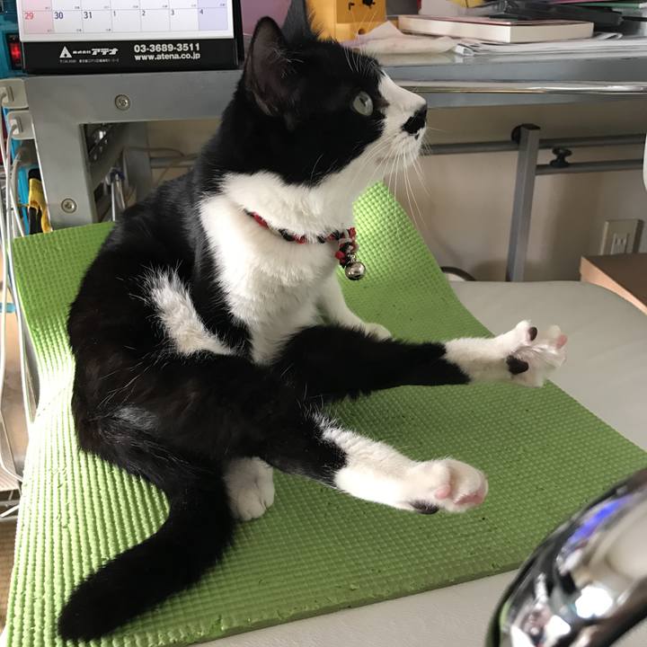 B181eb5b 6c60 4aa7 a4ef 7ecd39348de4