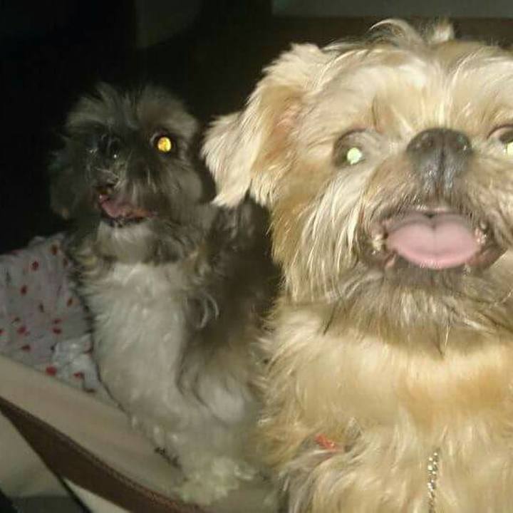 B1824c75 4df3 40aa 9e31 2471e1f03355