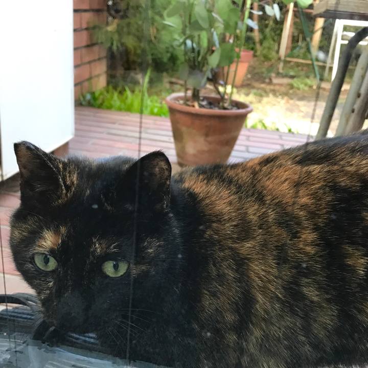 B182f069 415d 4b22 8d36 6ecb5233f8b3