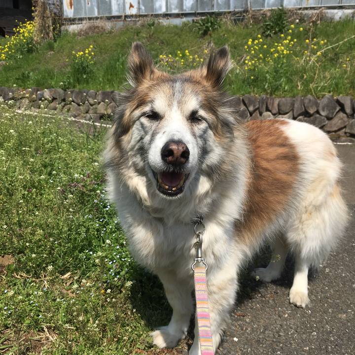 B182f572 6206 4b34 a684 37546311f0ba