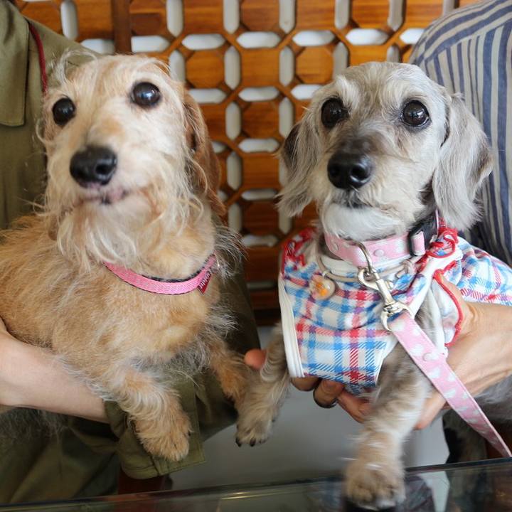 B182fd5c d896 475f 9440 56e244e3fb7e