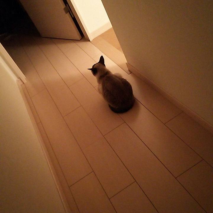 B1830178 876a 45ce 8e8a c3bec68a2dea