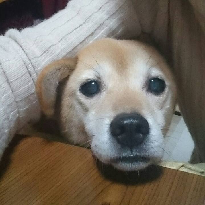 B1837667 5510 4df4 ae86 52a9b56db51a