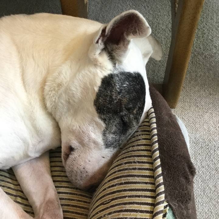 B183768b aaae 4669 bfa4 f3beb0c5b103