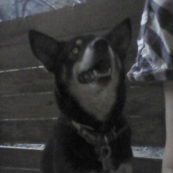 B1843402 9dfd 4c38 b62f fb8c041b3096