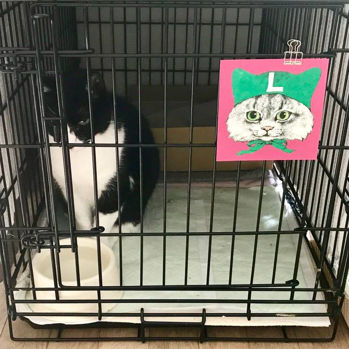 B1849f38 ee51 4727 8d1f c26a989a0c2e