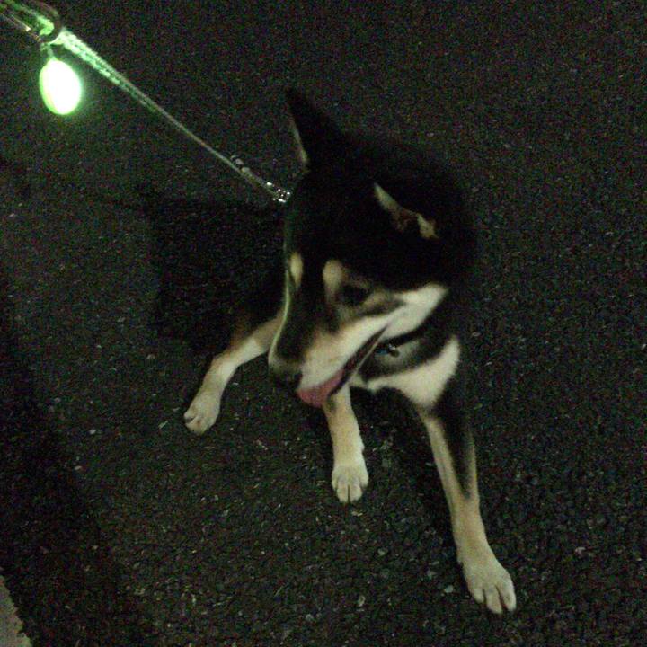 B184a8fc 5e55 4695 bf1f 30ceec9ee000