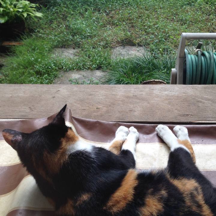 B185605a fcf6 4778 a63d 8f4e5d408d38