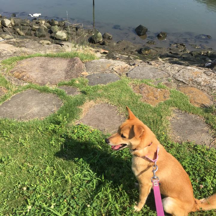 B1866e2f be49 4af5 bcea 2d7a971fc90b