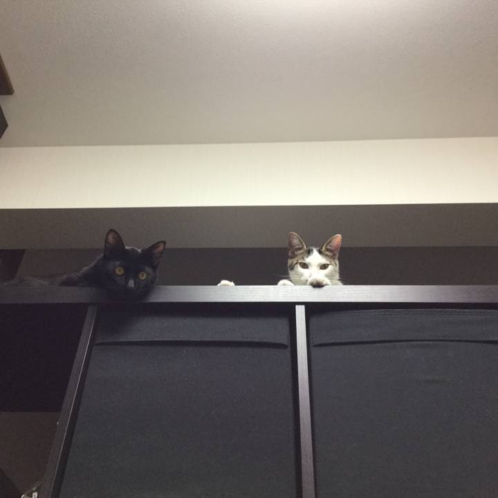 B1868483 1c2e 46c0 b85f ca5c03488c30