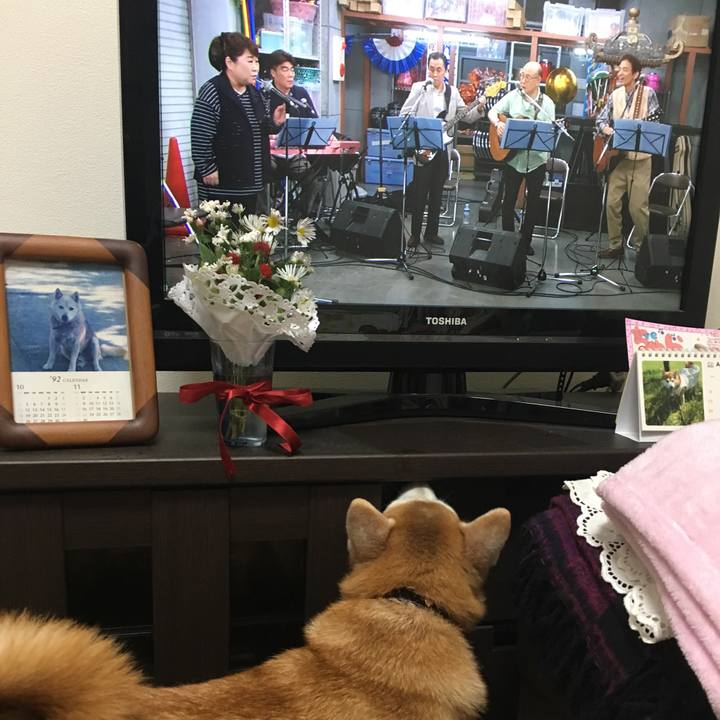 B1871307 7c50 43f0 9af0 906ddce4913a