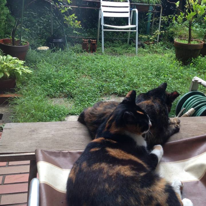 B1873083 b052 435e a935 06f423ac534c