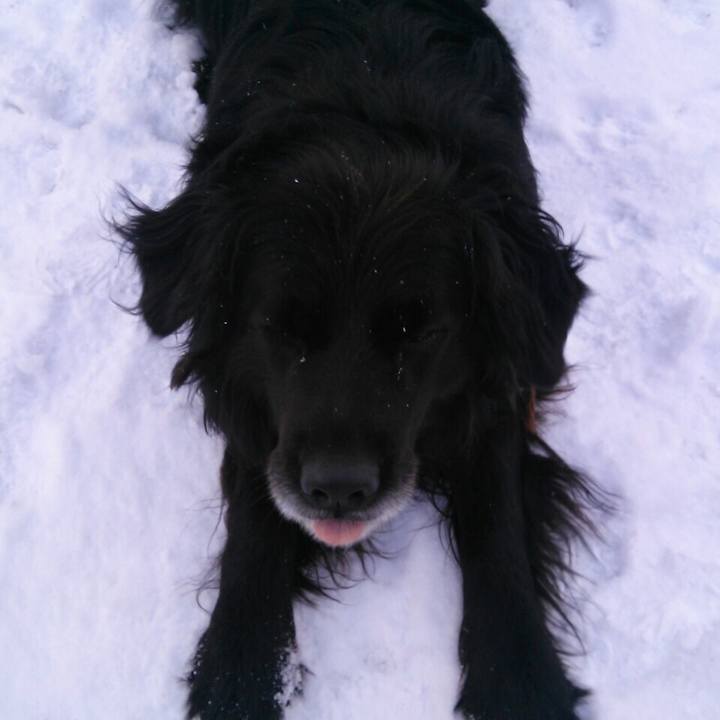 B1874cb4 7dc1 4d32 a211 a3c17723d189