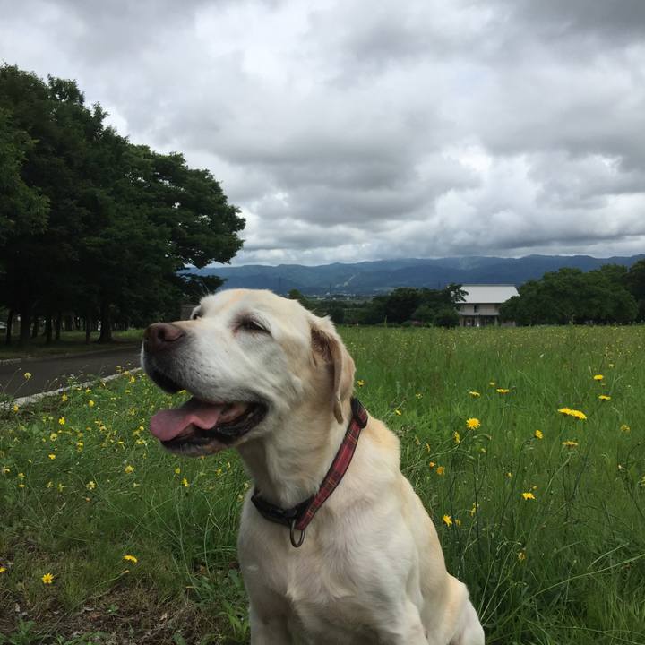 B1875186 859b 4b11 a57e 8d83b10e795b