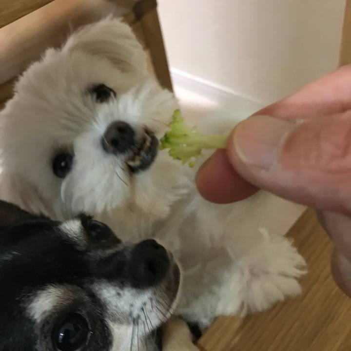 B187e09a e21b 4f7d 99d9 892aec4e33b5