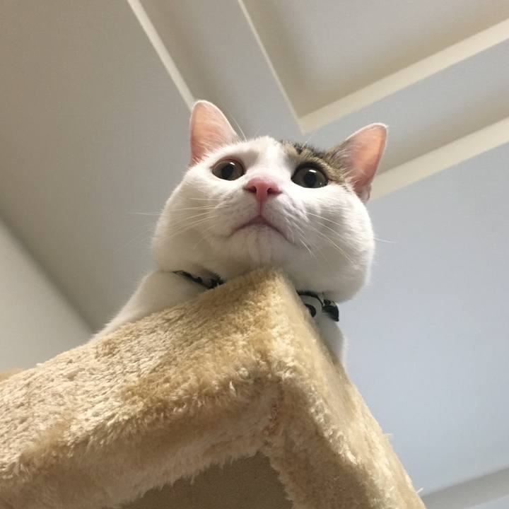 B18844e9 aa23 4ed2 aab3 4a932fd57be9