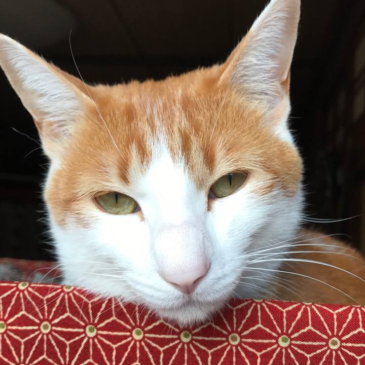 B188d6a6 276c 4cb0 bd8b 10fad19afceb