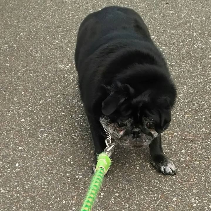 B1894189 4f5c 47d5 ae9b fd5a2c7aea42