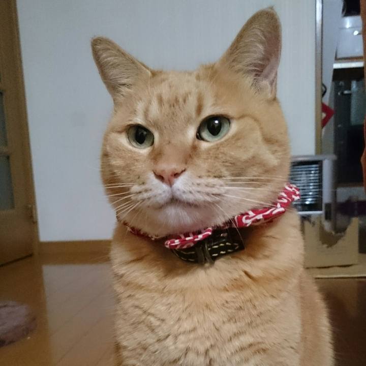 B189a74b ed25 44d6 98c5 2f330cab65b2