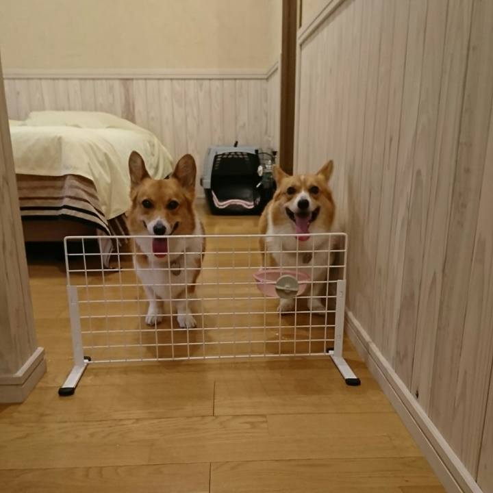 B18aa159 9ef6 415d ae1d 6ecdc908c14c