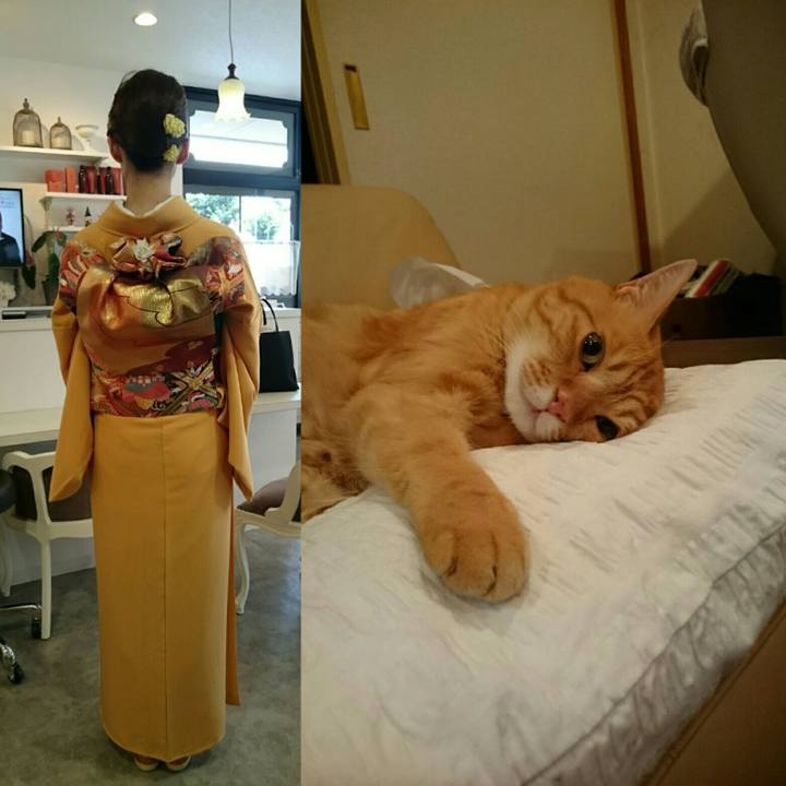 B18b151a d8a5 489a 9a18 d362c3a3095f