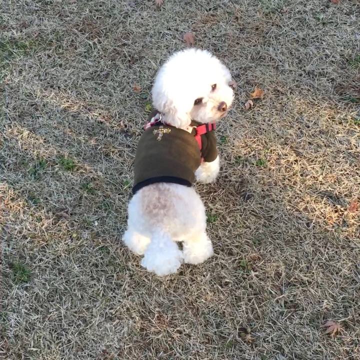 B18b61ee 88bd 49e2 b2ed 0e5bb5311318