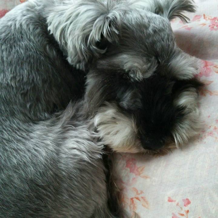 B18bad3e 7cac 47d9 beea cda9b306139a