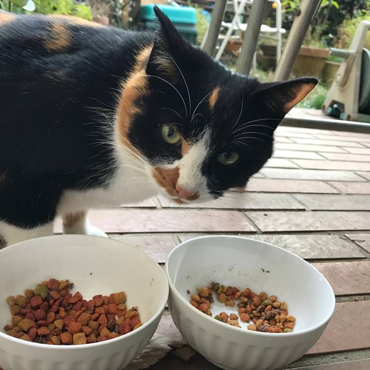 B18c945f 4111 40a6 af8f f8b138d413db