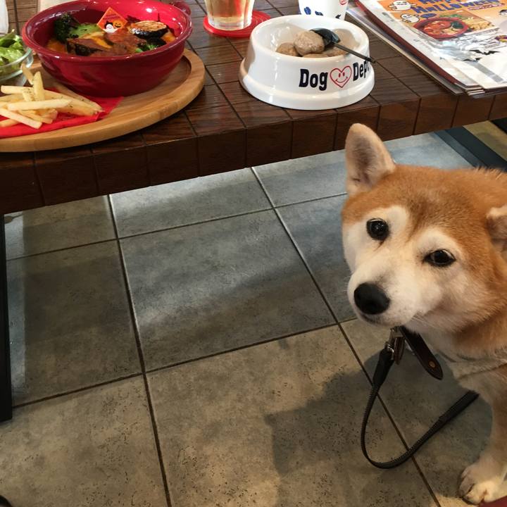 B18cb1ab 2c44 4716 9d5b aa686bf3daa4