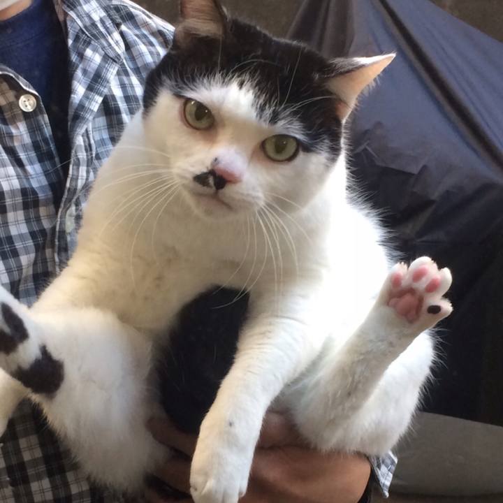 B18d47d9 6776 4a47 ac47 2ac65d069894