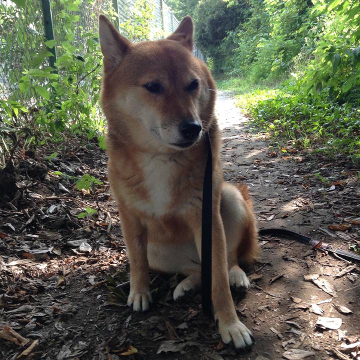 B18d5378 3818 409d a618 54482936c8ae