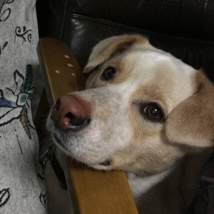 B18df3ee 5798 4bfa 972f 2ca87517d876