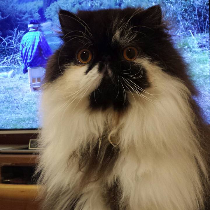 B18e34f2 afde 477b b146 44a6cc1db052