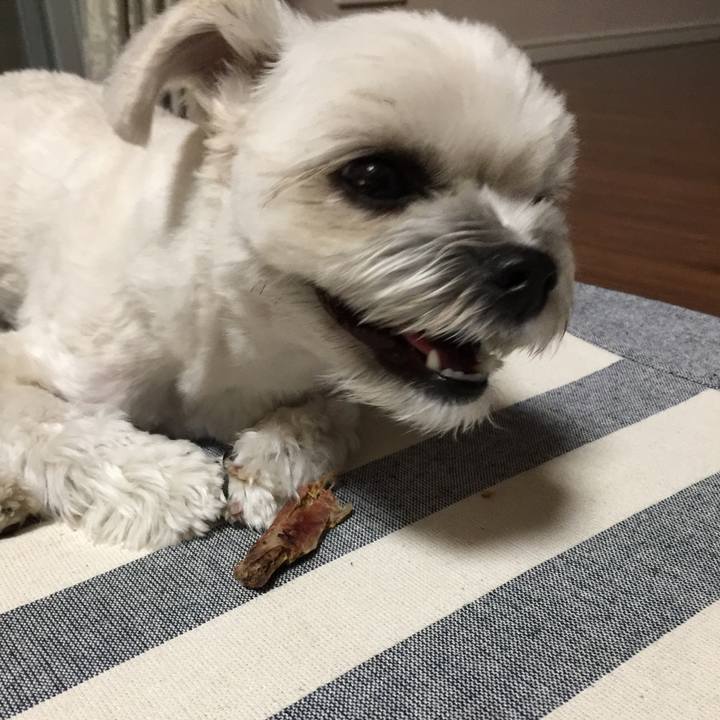 B18e45a7 d3e9 4a61 b68b 5a9692b39ce5