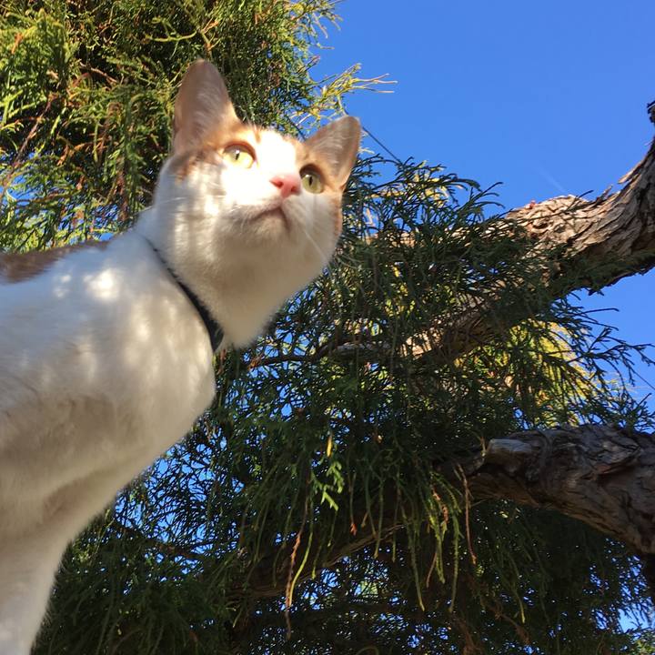 B18e8536 e512 4da0 9c51 bbddbd715364