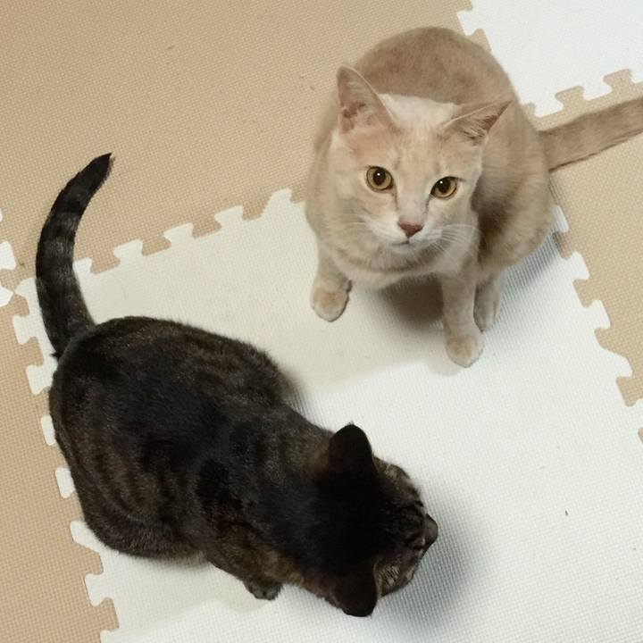 B18e90df 8325 42c8 9869 0266d6215be9