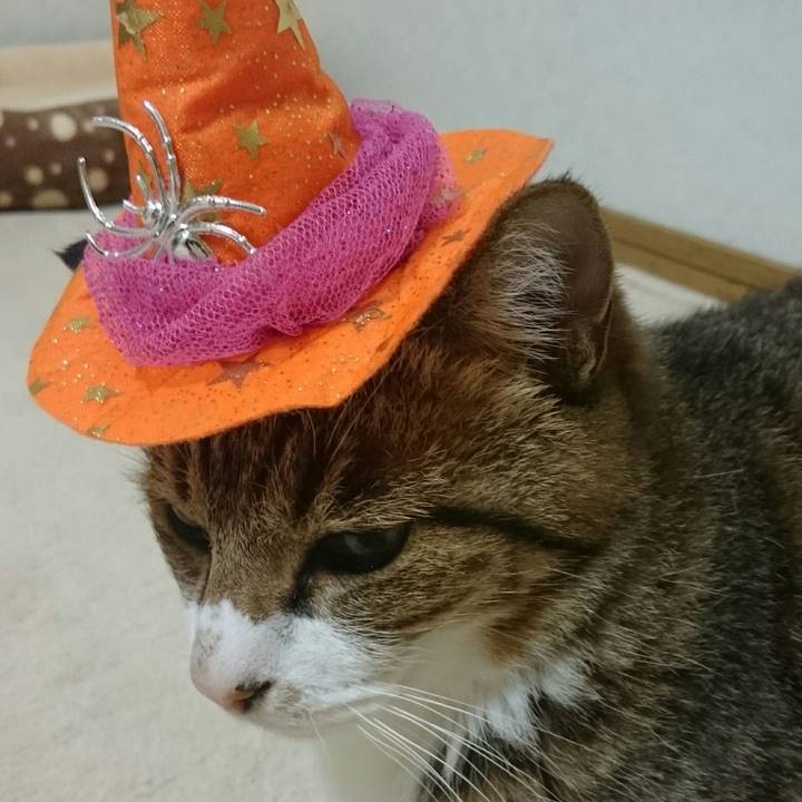 B18ec2dd 8b3c 4bde 929b da45a88eab79