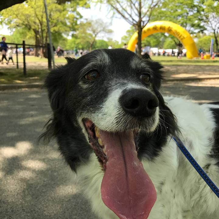 B18ef0a3 d415 4e99 b583 ba32a321400c