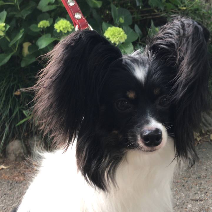 B18f07af 4d5a 4084 93ee c176a5765a85