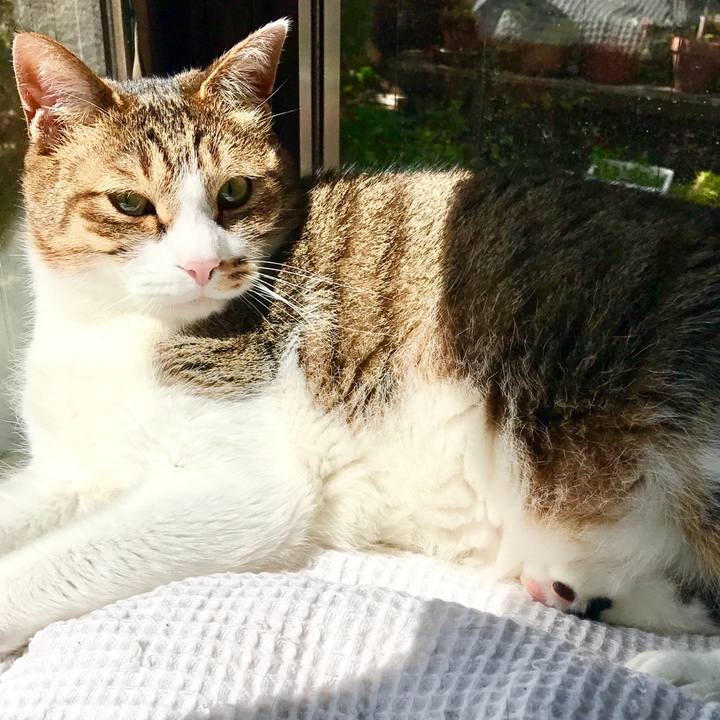 B18f14a3 1d77 49e3 b9da 1c54cd5dafd5