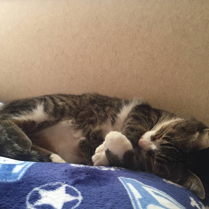 B18f1b18 7a4d 47d2 974c b4aaf7f63156