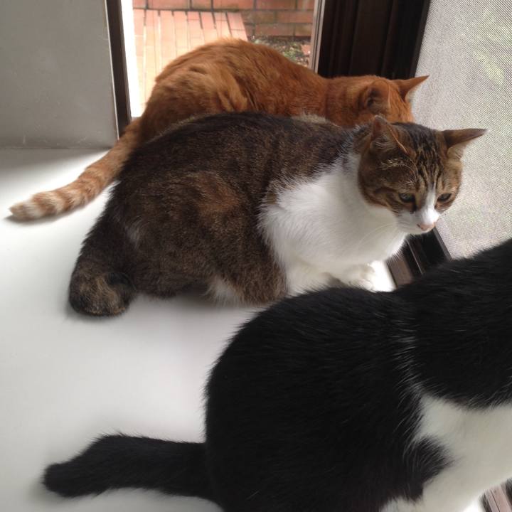 B18f8812 d949 4c93 91da 78e24decd5d0