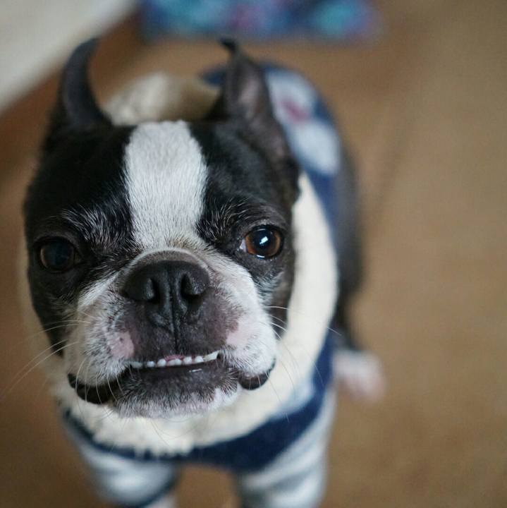 B18f8e39 e71e 4259 a24f f4749ecf7d70