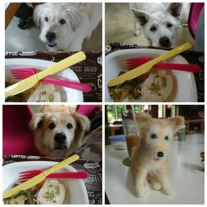 B18fe9ca 3735 4b75 beab 9e2fa2f9bb27