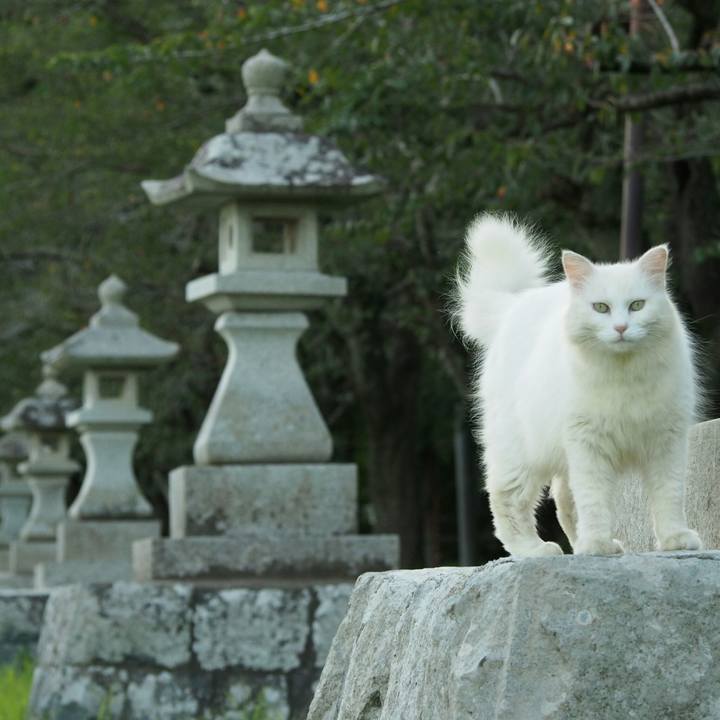 B1901d02 d8b3 4c94 a217 a8c148706152