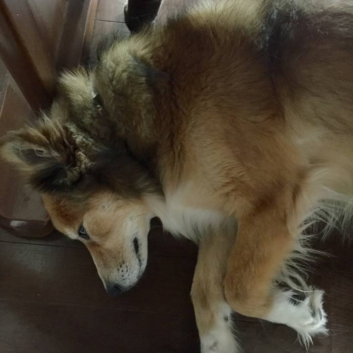 B190d4d7 a85a 48a2 9b24 ab942c95cabc